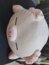 捉趣（ZHUOQU）小猪玩偶毛绒玩具女孩趴趴猪公仔布娃娃陪睡觉抱枕儿童女生日礼物 bobo猪眯眼款 40cm 实拍图