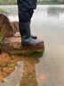 雨牧德系雨鞋男防滑耐磨水鞋工地膠鞋勞保中筒防水防蛇釣魚高筒雨靴 中筒 44 曬單實(shí)拍圖