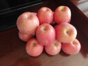 沙窝曙光陕西洛川红富士苹果水果新鲜脆甜冰糖心时令应季丑苹果水果礼盒 带箱9.5斤大果装（净重8.5斤） 实拍图