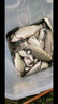 阿盧LPA28高靈敏度輕口弱口滑口鯽魚(yú)漂高靈敏蘆葦浮漂細(xì)尾釣魚(yú)浮標(biāo) LPA28(11目) 3號(hào)一支(吃鉛約1.08克) 曬單實(shí)拍圖