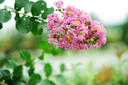 賓得(PENTAX) 全畫幅鏡頭 二手適用于賓得全畫幅K1 K1II等 DFA 星標(biāo) 50mmF1.4  99新 曬單實(shí)拍圖