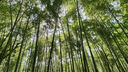 歐積后雨刮器/后雨刷/后窗雨刮片廣汽傳祺GS5【19-20款】原廠原裝原車尺寸 曬單實拍圖