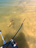 達(dá)摩 魚(yú)竿桿新款釣魚(yú)竿輕硬手竿鯉魚(yú)竿碳素綜合臺(tái)釣竿攻 攻6.3米+禮包 曬單實(shí)拍圖