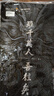 龍牙（Dragon Tooth）2024龍牙隱松保暖抓絨衣秋冬戶(hù)外舒適保暖抓絨內搭外套 諜影灰 170/100B（140-155斤） 曬單實(shí)拍圖