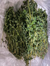 辰實(shí) 【順豐】新鮮迷迭香 百里香 迷迪香迷失謎迭香草 牛排用調(diào)料西餐 迷迭香100g+百里香100g【順豐】 曬單實(shí)拍圖