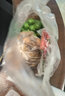 味小仙 茂名高州特產(chǎn) 新鮮沙姜 山奈白切雞調(diào)味配料 姜+桔共 500g 曬單實拍圖