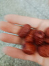 紅棗批發(fā)滄州金絲小紅棗農家自產(chǎn)小棗子孕婦零食煲湯煮粥包粽子棗 精選小棗500克 曬單實(shí)拍圖
