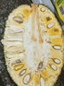 愛鮮摘農(nóng)場 金獎·菠蘿蜜越南進口【JD直發(fā)】多地次日達水果一整個裝果切 特選中果【10-15斤】單果裝 A+級果【20年老樹果】包熟包甜 曬單實拍圖