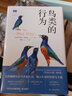 鳥類的行為 曬單實(shí)拍圖