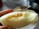 農根蔬陜西閻良甜瓜2025新鮮水果應當季整箱脆甜正宗頭茬香瓜 5斤凈重4.5斤(3-6枚) 曬單實(shí)拍圖