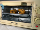 小熊（Bear）电烤箱家用迷你多功能小型烤炉烤箱 烘焙烤蛋挞蛋糕10升容量 双发热管 10L晨曦黄 DKX-F10R6 10L 实拍图
