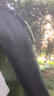 牧野朝歌戶外吊床防蚊防雨防側(cè)翻吊床帳篷單雙人蚊帳吊床折疊野外露營秋千 防蚊吊床(超輕遮陽) 曬單實拍圖