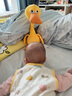 babycare電動毛絨玩具娃娃玩偶會說話的鴨子鸚鵡復讀鴨兒童禮物兔墩墩 卡布利鴨 曬單實拍圖