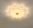 萊琪吸頂燈創(chuàng  )意奶油風(fēng)花朵臥室客廳燈2025新款全光譜三室兩廳燈具套餐 YH826亞克力奶咖+64CM+68W 無(wú)極遙控+支持小愛(ài)同學(xué)控制 曬單實(shí)拍圖