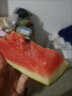 澤鮮達海南麒麟西瓜當季新鮮水果 薄皮沙瓤麒麟有籽甜瓜精美禮盒 1顆裝 曬單實(shí)拍圖