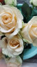 悦多彩AB级优质香水百合 家庭办公室各色生活鲜花 昆明基地 现采直发 单头玫瑰10支（随机色） 实拍图