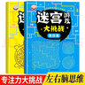 兒童6到12歲迷宮游戲書(shū)畫(huà)線(xiàn)條走迷宮書(shū)左右腦思維專(zhuān)注力訓練挑戰 迷宮游戲大挑戰【全套4本】 曬單實(shí)拍圖