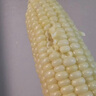 有機(jī)匯有機(jī)糯玉米 香甜軟糯煮食玉米 新鮮現(xiàn)摘 有機(jī)種植無(wú)農(nóng)殘 寶寶輔食 500g 曬單實(shí)拍圖