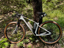 迪卡儂（DECATHLON）Race 900競賽碳纖維越野高端山地車(chē)線(xiàn)控變速自行車(chē)OVB1 白色 29英寸 M碼 適合身高165cm~174cmcm 曬單實(shí)拍圖