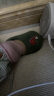 贝瑞加（Babyprints）儿童地板袜2双四季宝宝软底学步鞋室内早教袜套防滑隔凉 绿卡其S 实拍图