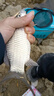 細(xì)硬峰細(xì)硬峰臺(tái)釣竿稍及各種魚(yú)竿竿節(jié)配節(jié)（拍之前聯(lián)系客服確認(rèn)） 40 曬單實(shí)拍圖