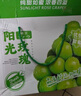 橙市碼頭陽(yáng)光玫瑰 晴王葡萄 日本引進(jìn)品種香印無(wú)籽提子 當季水果禮盒送禮 特級果 5斤 【精美禮盒 凈重4.5-5斤】 陽(yáng)光玫瑰 曬單實(shí)拍圖