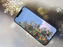 LEYONG 蘋果16Pro鋼化膜iphone15promax手機保護膜14/13防窺膜12全屏覆蓋11聽筒防塵網(wǎng)xsmax貼膜16e防摔 【超清2片】新升級黑邊丨聽筒防塵網(wǎng) 蘋果14 曬單實拍圖