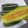 新疆博洋9號 新鮮水果當(dāng)季脆蜜香瓜玻璃脆冰糖子甜瓜 精選果2斤 曬單實拍圖