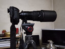 曼富圖（Manfrotto）Manfrotto MVH500AH單反微單相機觀(guān)鳥(niǎo)打鳥(niǎo)鋁合金三腳架把手液壓云臺婚慶影樓專(zhuān)業(yè)攝影攝像云臺 曬單實(shí)拍圖