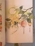 古風(fēng)臨摹圖集 手繪小景插畫(huà)素材300例（繪客出品） 曬單實(shí)拍圖