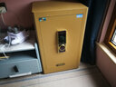 虎牌保險柜家用小型指紋密碼WiFi保險箱辦公全鋼防盜可入墻 80土豪金 馭尚系列（觸控密碼+人臉面部識別） 曬單實(shí)拍圖