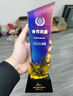 創(chuàng  )遇高檔大氣彩色水晶獎杯定制定做創(chuàng  )意年會(huì )公司企業(yè)優(yōu)秀員工年終獎杯獎牌紀念品周年慶頒獎禮品制作 曬單實(shí)拍圖
