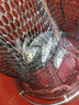 臻佑（Grsaed）成品魚(yú)鉤綁好子線雙鉤仕掛子線組魚(yú)鉤套裝臺(tái)釣魚(yú)線金袖有刺7號(hào)8號(hào) 曬單實(shí)拍圖
