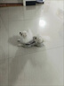 阿莫爾貓咪衣服萬(wàn)圣節披風(fēng)斗篷寵物幼貓節日拍照套裝狗狗男爵搞怪變身裝 黑紅蝙蝠披風(fēng) 均碼 曬單實(shí)拍圖