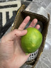 姬幻廣西香水檸檬新鮮一級果應當季水果海南無(wú)籽青檸檬奶茶店專(zhuān)用9斤 2斤裝中大果【單果80-180g】 曬單實(shí)拍圖