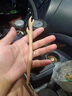 追師發(fā)簪手工diy材料制作女生生日禮物桃木黑檀木簪子新中式小葉紫檀 1塊桃木+工具包+古風(fēng)禮盒 1件套 曬單實(shí)拍圖