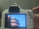 佳能（Canon）小痰盂三代 ef50 1.8stm 標(biāo)準(zhǔn)定焦鏡頭 單反相機(jī)大光圈全畫幅人像鏡頭 EF 50 1.8+定制遮光罩 套餐三【攝影三劍客】 曬單實(shí)拍圖