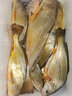 伊酷達（ECOODA）赤隼ERF500帶燈數(shù)顯輪海釣船釣輪近海鼓輪遠投水滴輪防海水漁線輪 赤隼 ERF500【球形把】 左手輪 曬單實拍圖