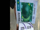 中科茂華瓜果種子蓋世麒麟西瓜種子抗裂京欣8424西瓜種子薄皮紅瓤 蓋世麒麟50克/盒（約800粒）【優(yōu)選型】 曬單實(shí)拍圖