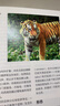 【央視2022年度中國好書(shū)】央視2022年度中國好書(shū) 中國大貓 呂植著(zhù) 虎 雪豹 兔猻 荒漠貓等13種中國野生貓科動(dòng)物的發(fā)現及保護故事全紀錄 科學(xué)又有趣的科普筆記 中國國家地理 哺乳動(dòng)物貓科動(dòng)物種類(lèi)大 曬單實(shí)拍圖
