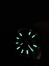 【二手99新】勞力士（ROLEX）男表日志型系列二手奢侈品腕表手表自動(dòng)機械 41mm 藍盤(pán) 116334 曬單實(shí)拍圖