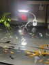 森森魚缸夾燈小魚缸燈led燈防水水草燈觀賞燈全光譜草缸燈斗魚燈 5W COB全光譜 迷你夾燈 USB款 曬單實拍圖