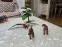 过凡（GUOFAN）儿童恐龙玩具大号霸王龙侏罗纪动物软胶仿真模型翼龙特暴龙三角龙礼盒装3-10周岁生日礼物 实拍图