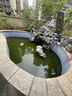 全福鯉戶外魚池過濾器水循環(huán)系統(tǒng)養(yǎng)錦鯉魚池凈水過濾設(shè)備斜坡排污 QXP-5200套餐適用0-5噸水包含水泵水管 曬單實拍圖