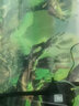 森森上過(guò)濾水泵魚(yú)缸增氧泵水族箱抽水泵三合一過(guò)濾泵水泵增氧 JP-1500G 45W 適合1.2米以上魚(yú)缸 曬單實(shí)拍圖