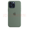Apple/苹果 iPhone 15 Pro Max 专用 MagSafe 硅胶保护壳-松柏绿色  保护套 手机套 手机壳 晒单实拍图