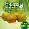 遠(yuǎn)達(dá)（YUANDA）河北趙縣香梨新梨7號(hào)當(dāng)季應(yīng)季新鮮水果梨子脆甜多汁現(xiàn)摘現(xiàn)發(fā) 凈重4.5斤香梨 曬單實(shí)拍圖