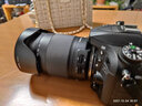 騰龍（Tamron） 鏡頭二手 B018 18-200mm 18-400 16-300 17-50 【二手99新】18-400mm VC防抖 佳能卡口 曬單實(shí)拍圖