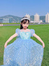 mlgt kids童裝女童愛莎公主裙夏季連衣裙女寶寶艾莎秋冬禮服兒童裙子 單裙 110 cm 曬單實(shí)拍圖