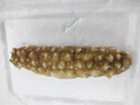 賜參堂即食海參黃金刺參進(jìn)口冷凍黃玉參非養(yǎng)殖8-10年黃金海參禮品海鮮 黃金海參500g/袋（5-8頭/袋） 曬單實(shí)拍圖